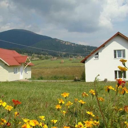 Casa Ana Vatra Dornei Villa Dealu Floreni Ngoại thất bức ảnh