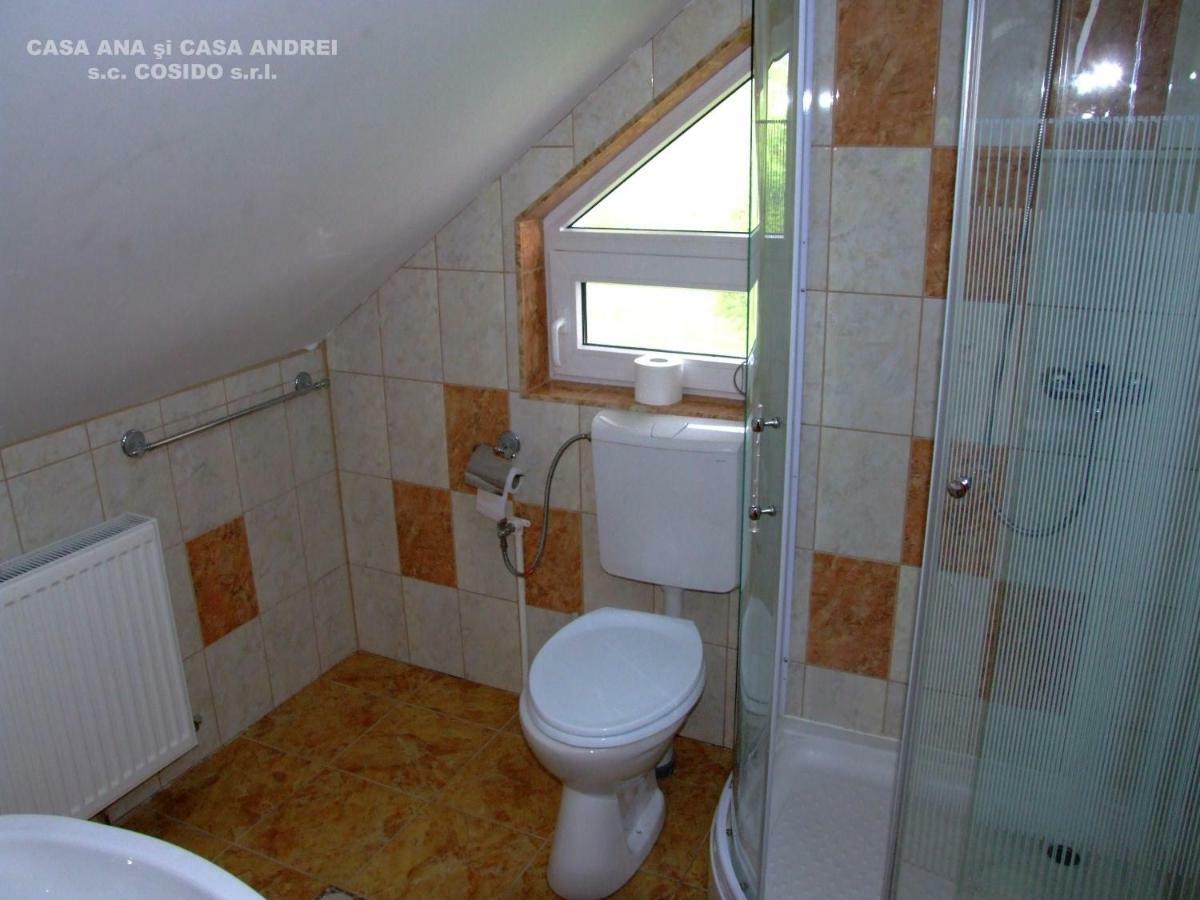Casa Ana Vatra Dornei Villa Dealu Floreni Ngoại thất bức ảnh