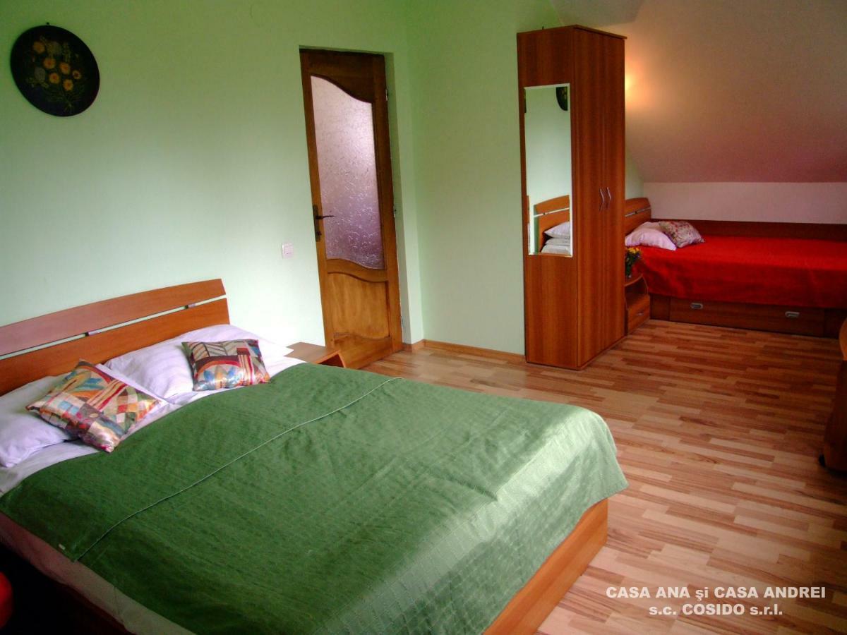 Casa Ana Vatra Dornei Villa Dealu Floreni Ngoại thất bức ảnh