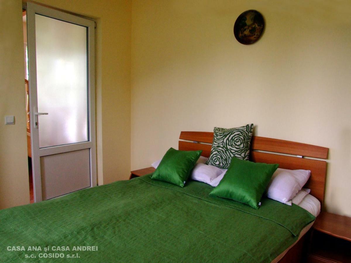 Casa Ana Vatra Dornei Villa Dealu Floreni Ngoại thất bức ảnh