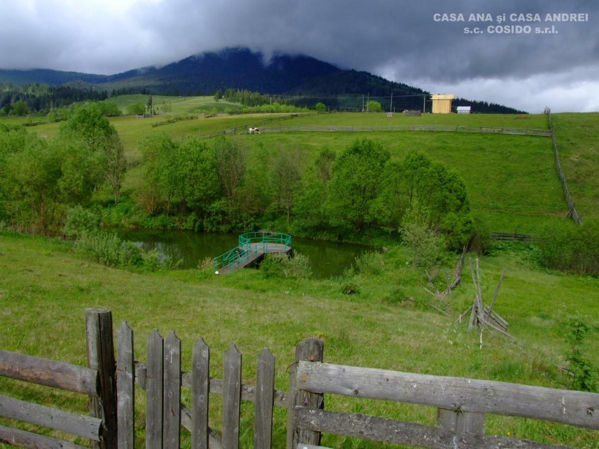 Casa Ana Vatra Dornei Villa Dealu Floreni Ngoại thất bức ảnh