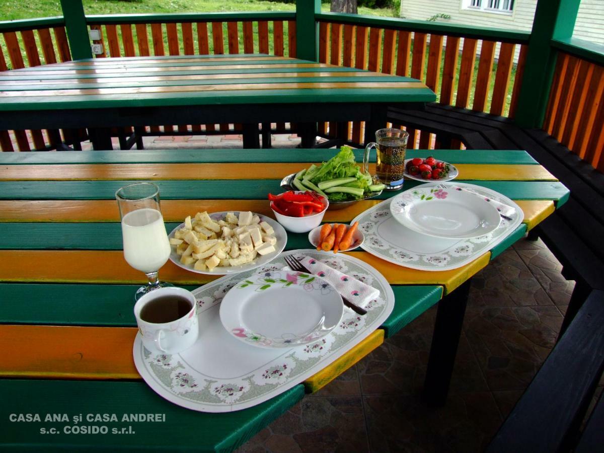 Casa Ana Vatra Dornei Villa Dealu Floreni Ngoại thất bức ảnh