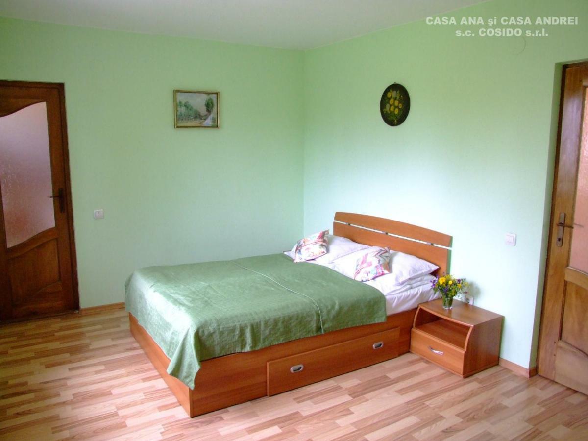 Casa Ana Vatra Dornei Villa Dealu Floreni Ngoại thất bức ảnh