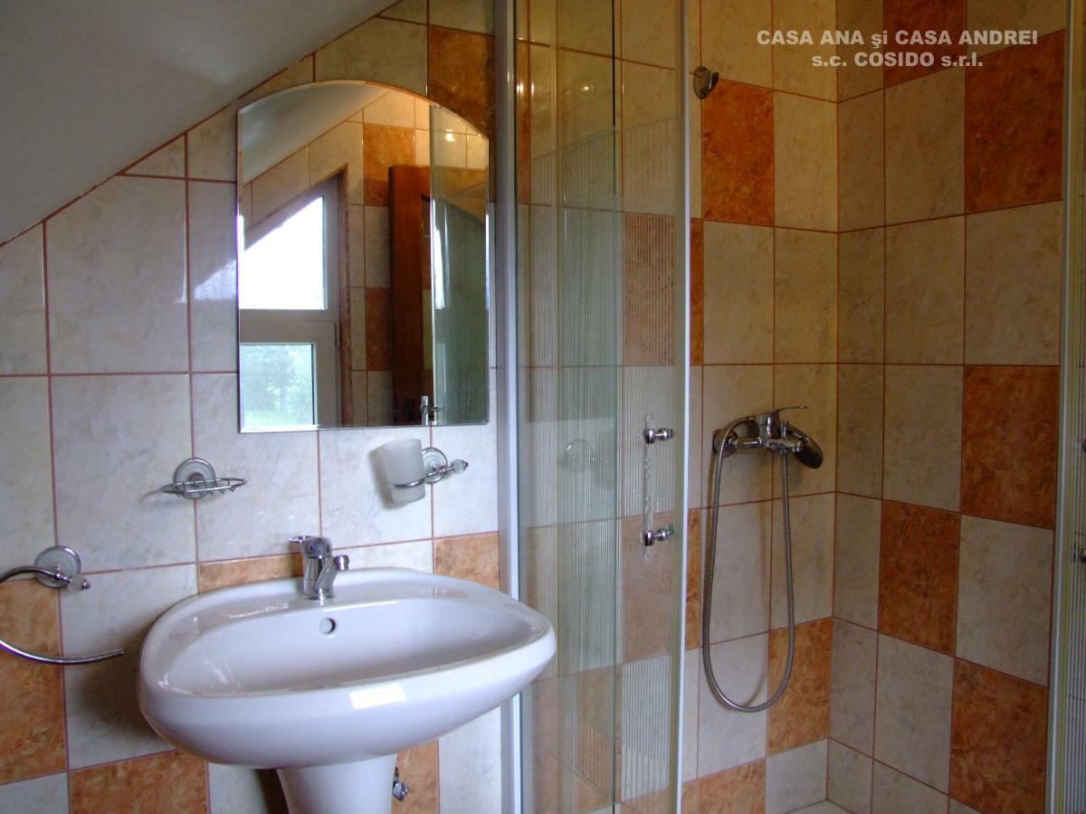 Casa Ana Vatra Dornei Villa Dealu Floreni Ngoại thất bức ảnh