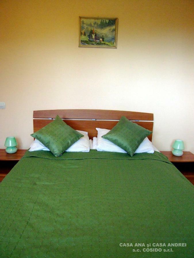 Casa Ana Vatra Dornei Villa Dealu Floreni Ngoại thất bức ảnh