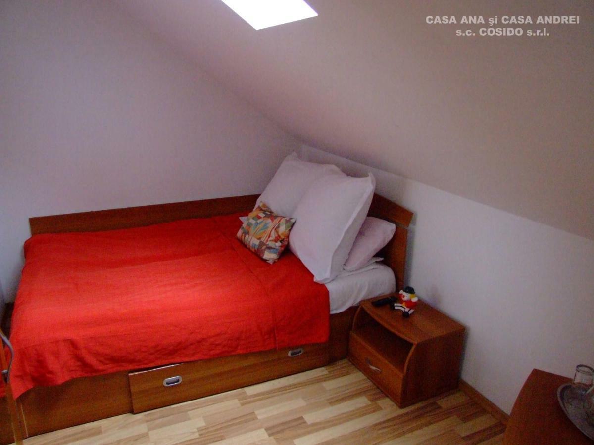 Casa Ana Vatra Dornei Villa Dealu Floreni Ngoại thất bức ảnh