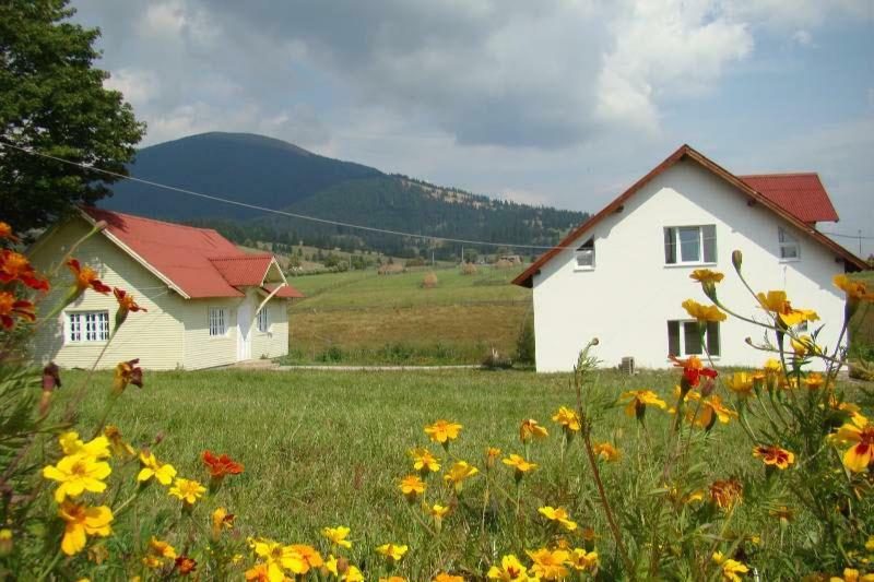 Casa Ana Vatra Dornei Villa Dealu Floreni Ngoại thất bức ảnh